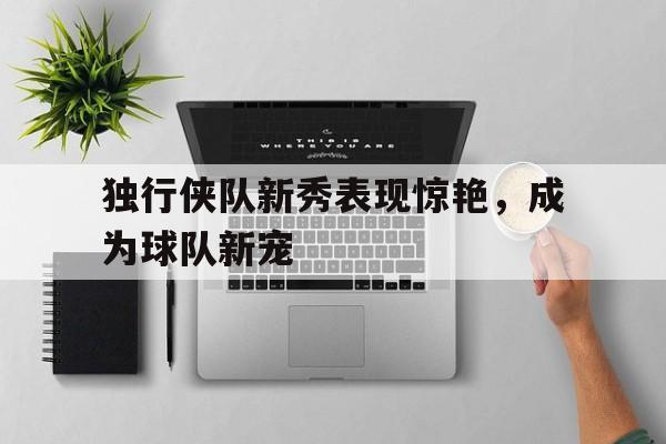 九游登录中心-独行侠队新秀表现惊艳，成为球队新宠
